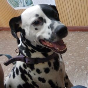 Meet your Posher, Kari